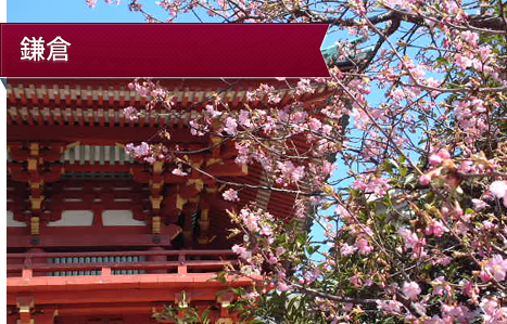 鎌倉